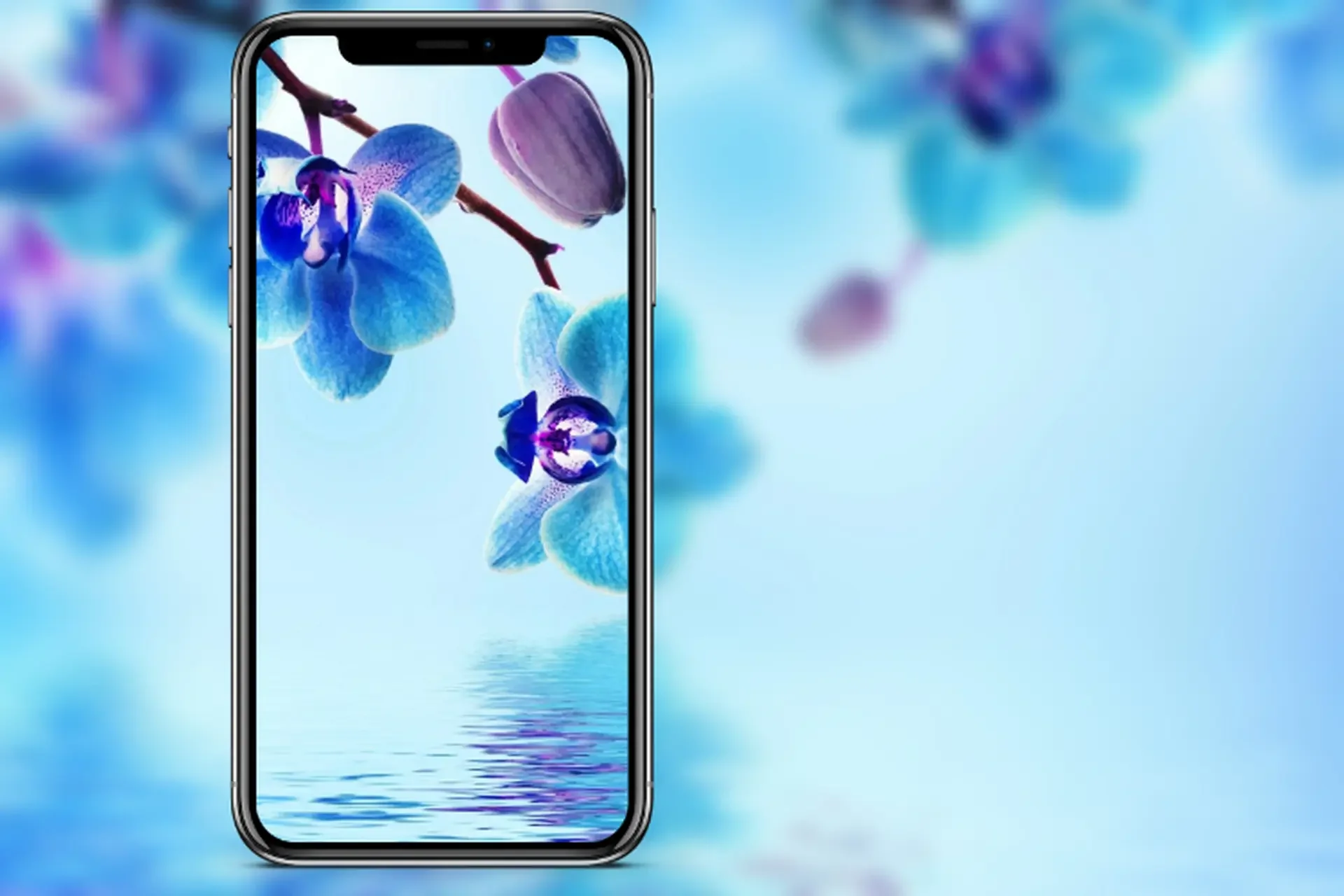Hình nền hoa 3D đẹp cho điện thoại: Điểm thêm sắc màu huyền ảo cho màn